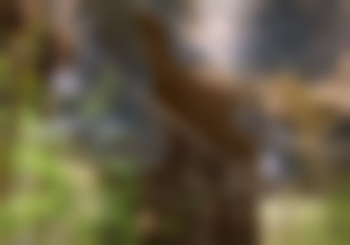 广州宸山医疗美容门诊部（IGC店）