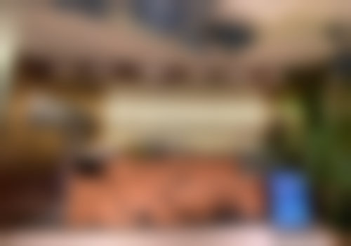 四、广州宸山医疗美容门诊部（IGC店）特色项目