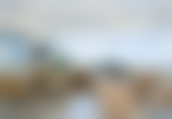 七、重庆星荣整形外科医院地址及交通