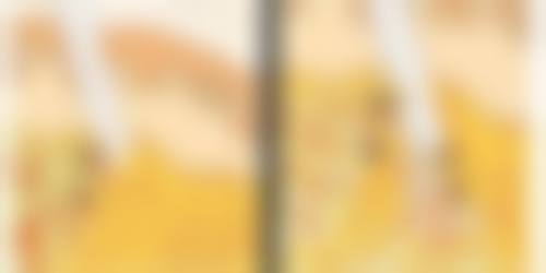 三、齐淑敏技术优势