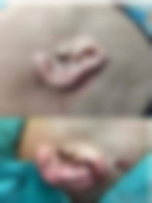 二、匡建国擅长项目