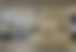 三、姚岚技术优势