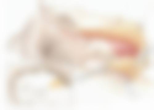 青春魔法棒除皱成效怎么样？总结陈词