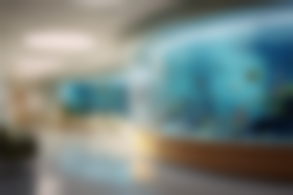 深圳民生医院整形科