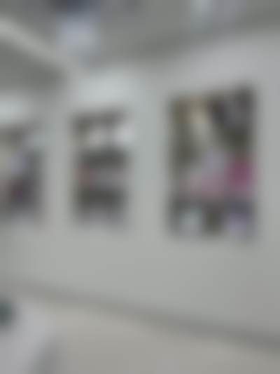 二、李惠妍医生擅长的技术项目