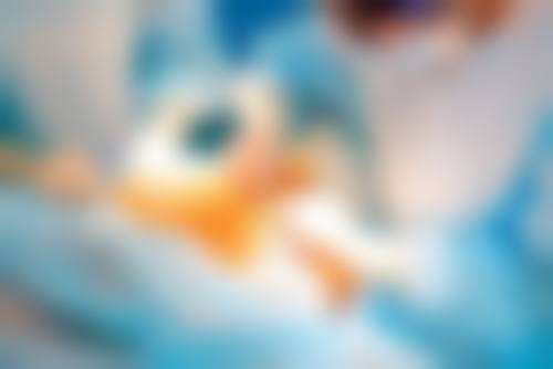 五、深圳刘运奇医疗美容诊所价格表