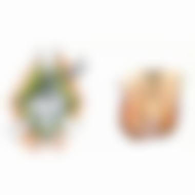 八、上海德琳医疗美容医院（男性私密中 心）预约方式