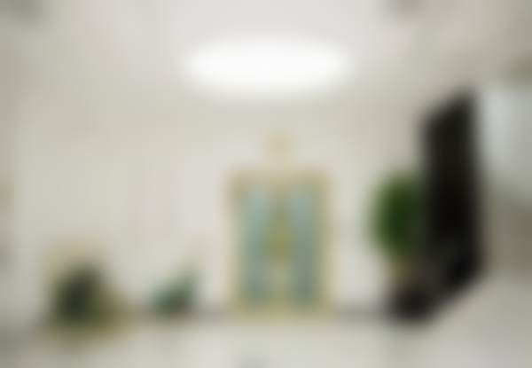 四、北京丽星翼美医疗美容诊所（眼修复中 心）特色项目