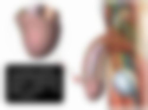 三、大综合隆鼻其他可能涉及项目