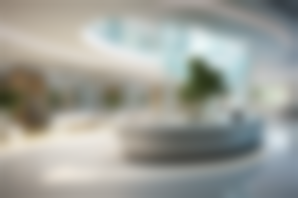 四、湖南省人民医院整形科特色项目