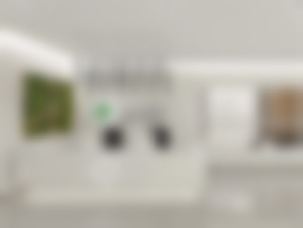 三、王晨超技术优势