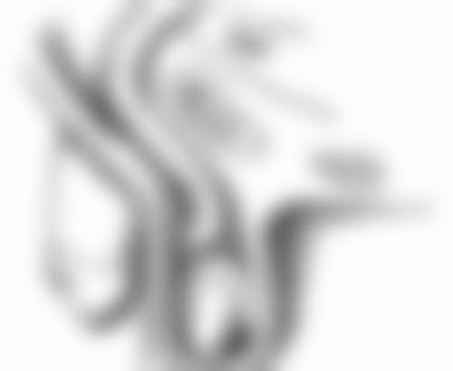 隆鼻子什么鼻型更好看？因人而异，理性选择是关键