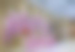 二、鲍金秀擅长项目