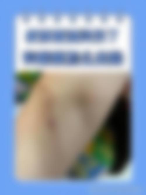 四、鲍金秀收费价格表