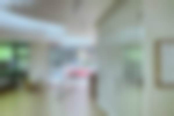 四、杜园园收费价格表