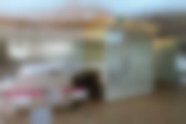 五、杜园园怎么预约？