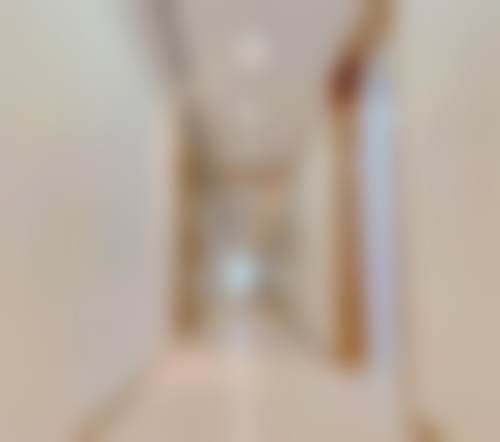 二、llen李擅长项目