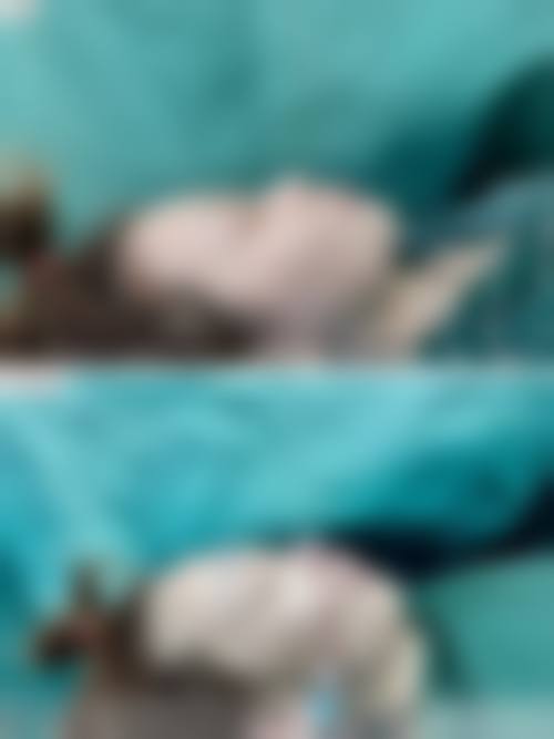 三、沧州市运西刘羚医疗整形美容诊所诊疗项目有哪些？