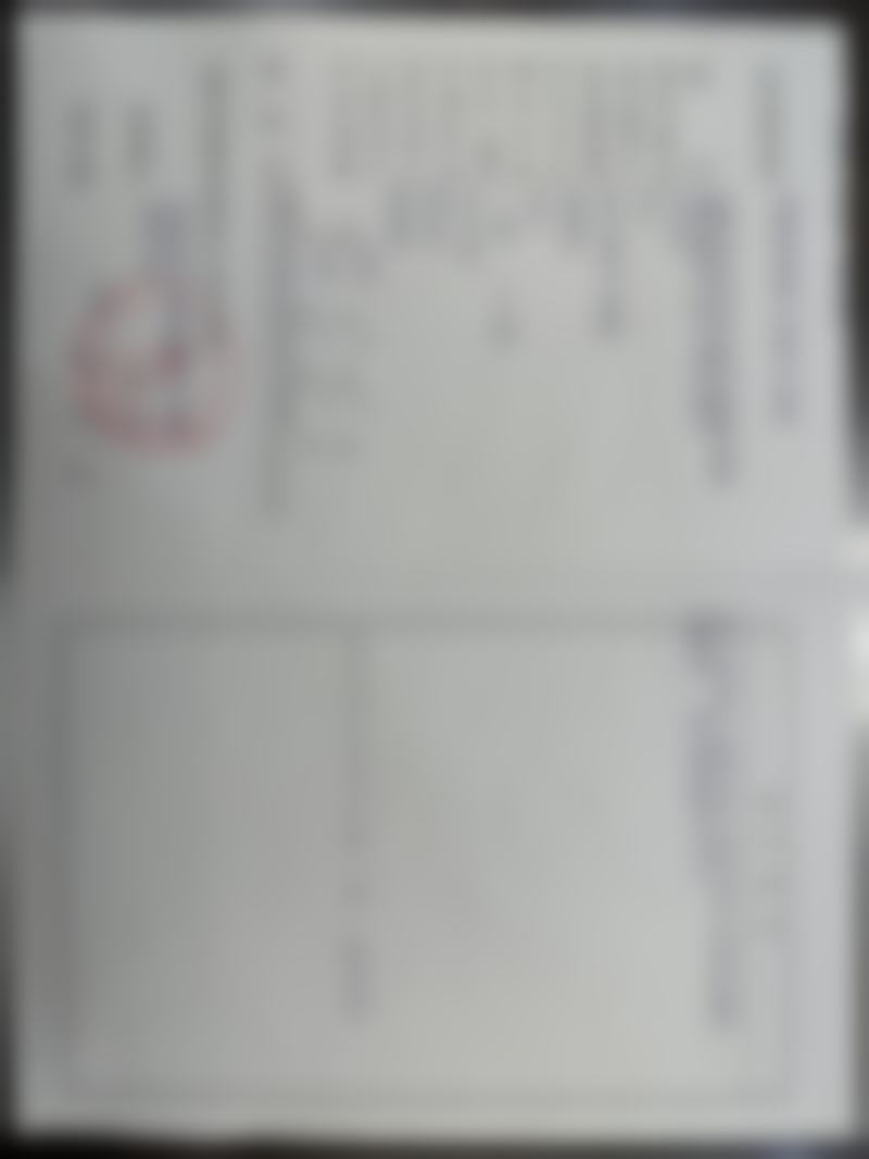 三、张高贵技术优势