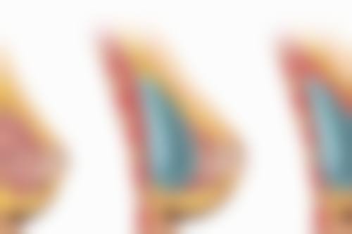 八、惠州瑞禧医疗美容诊所预约方式