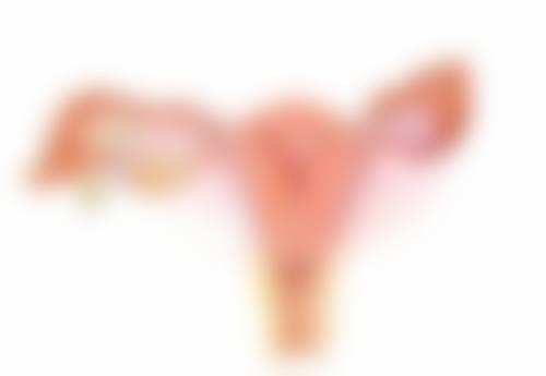 四、河南平顶山华薇医疗美容门诊部特色项目