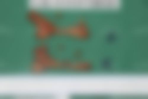 四、无锡业成柏芙美整形医院特色项目