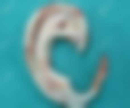 二、中山一院皮肤美容科怎么样?