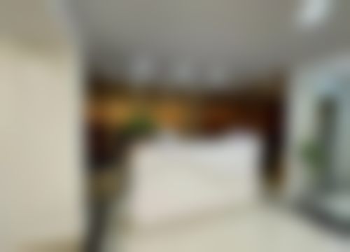 三、李成良技术优势