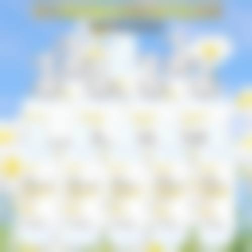 五、怀远县美茜整形医院价格表