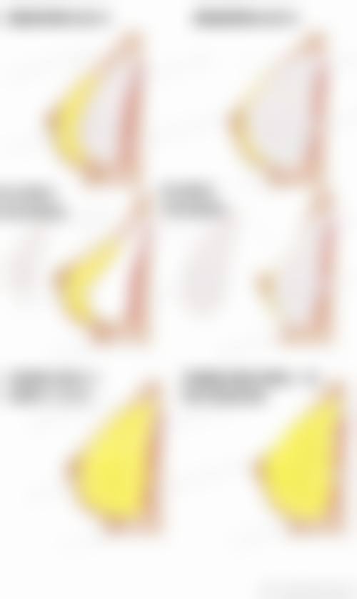 五、成都贞禾医疗美容诊所医生介绍