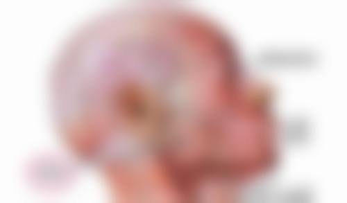 三、做完眼袋多久可以做双眼皮:修复期间的注意事项