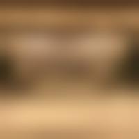 三、林茂辉技术优势