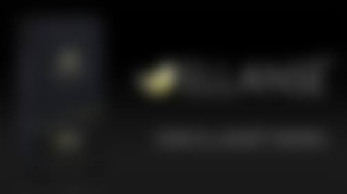 二、秦玲擅长项目