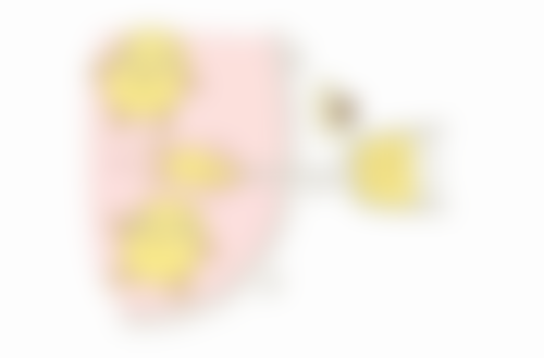 三、宜兴丽都医疗美容门诊部诊疗项目有哪些?