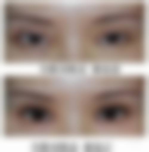 二、薛艳峰擅长项目