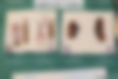 四、宜兴丽都医疗美容门诊部特色项目