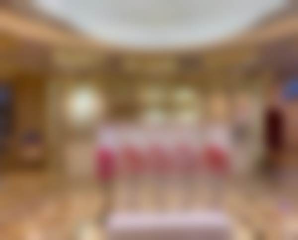 三、项晓飞技术优势