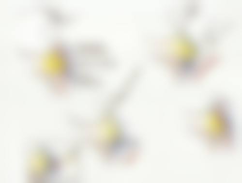 四、新泰侨艺外科美容诊所特色项目