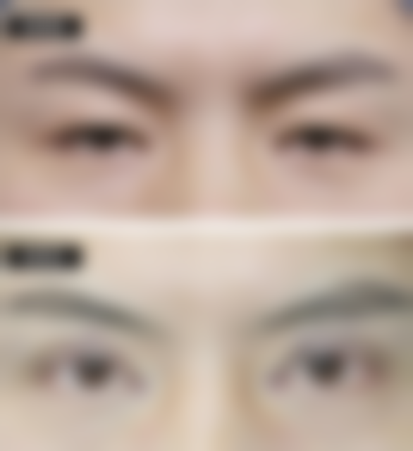 五、杨旅军怎么预约?