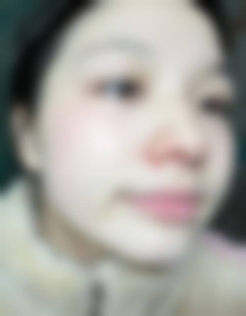 二、赵紫电擅长项目