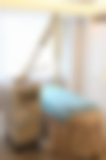 三、何林技术优势