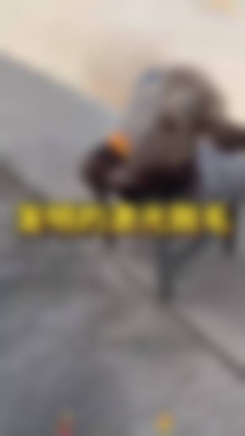 七、宜宾市第二人民医院整形美容科地址及交通