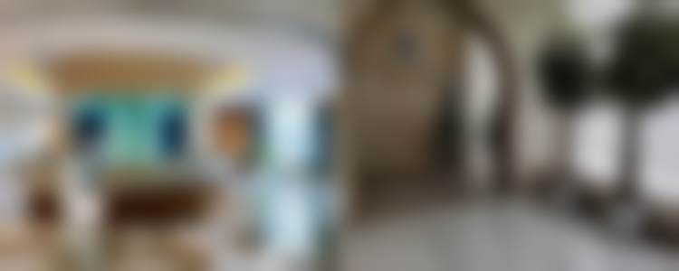 三、虞冬梅技术优势