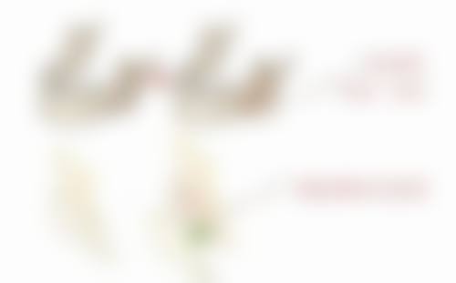 三、全切双眼皮之后多久可以洗脸