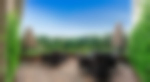 五、潘贰怎么预约？