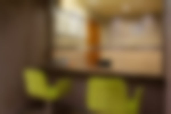 三、潘贰技术优势