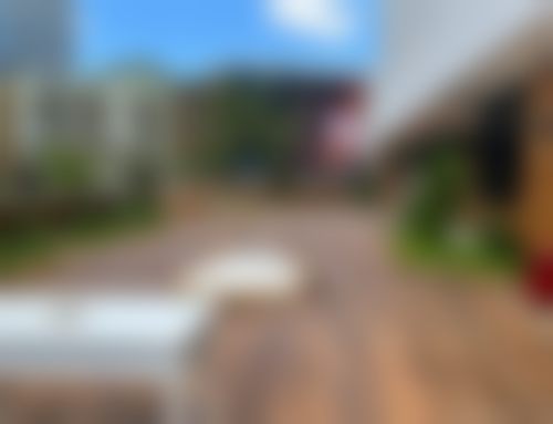 三、深圳伽美贝拉医疗美容门诊部（海上海内外店）诊疗项目有哪些？