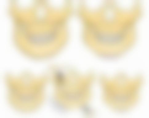 一、二次修复的基本情况