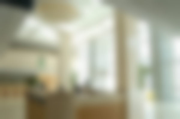 三、杨洋技术优势