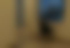 二、夏正法擅长项目